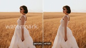 ai watermark remover